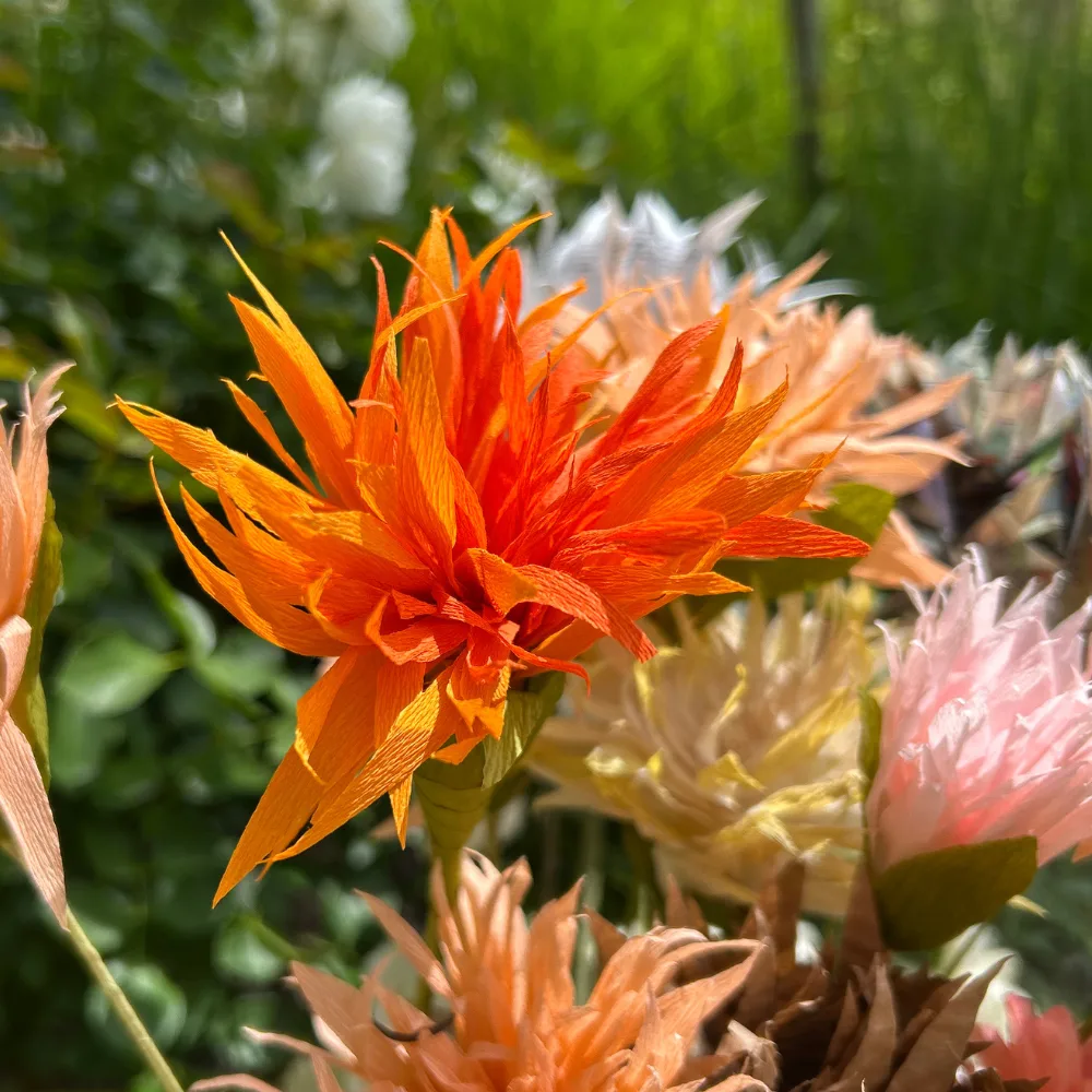 Crepe Paper Flowers: Dahlias