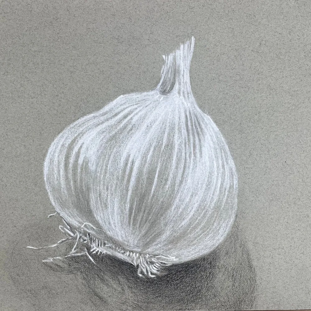 Developing Your Drawing Eye