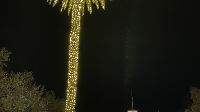 Lighting of the Sonoma Plaza 2026