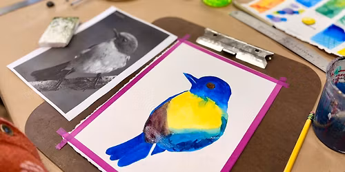 Watercolor – All Levels