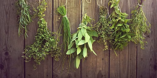 Plants for Protection: A Hands-On Herbal Class