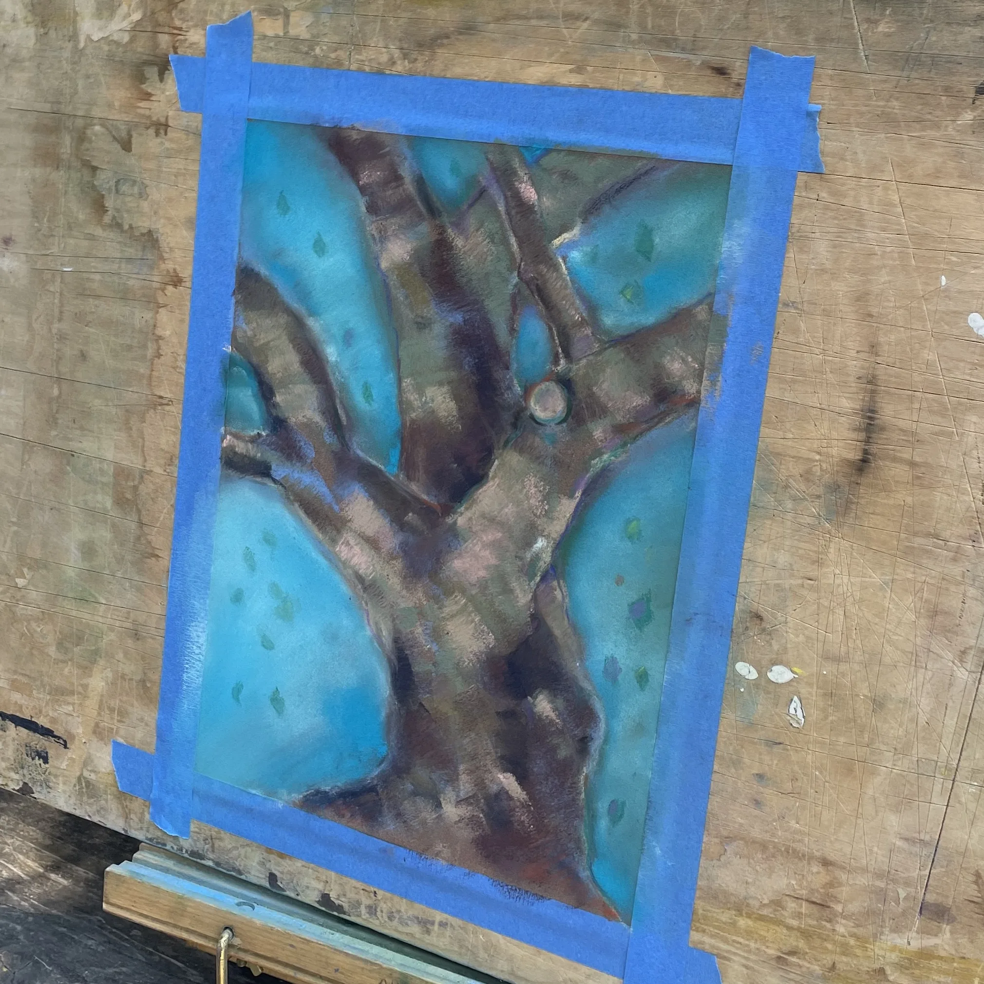 Plein Air Trees Up Close: A Day at Jack London State Park