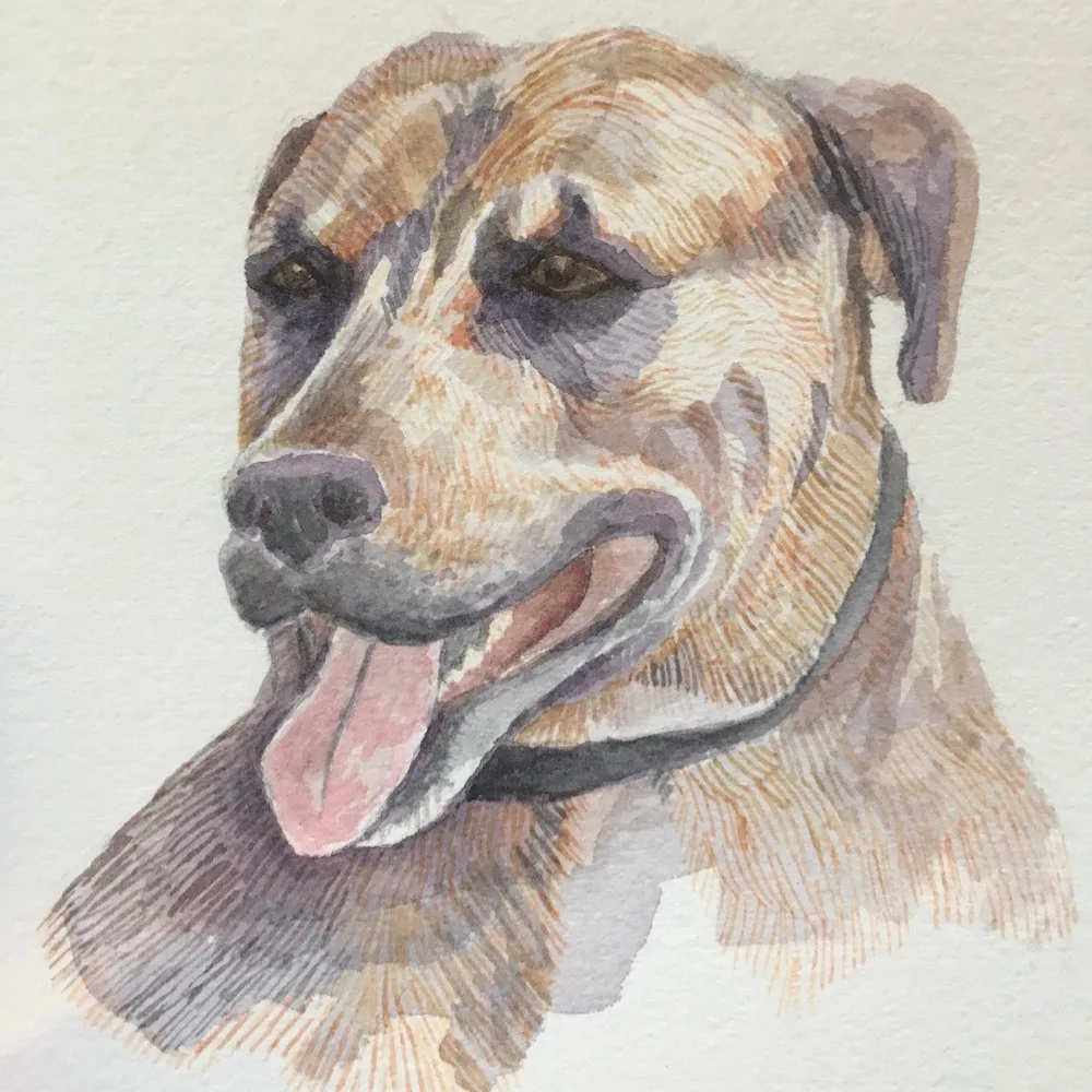 Paint Your Pet’s Portrait: Watercolor for All Levels