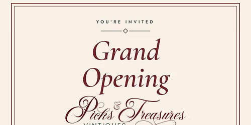 Picks and Treasures Vintiques Grand Opening