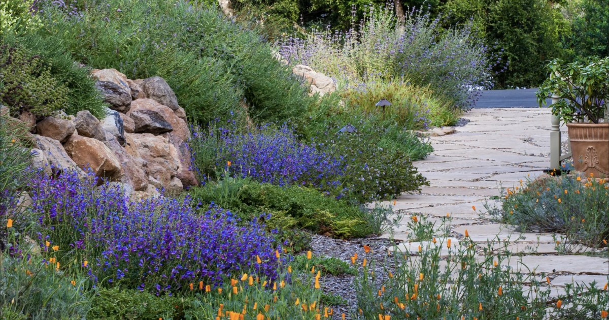 Webinar Series: Create a Firewise, Water-Wise Yard That Supports Nature