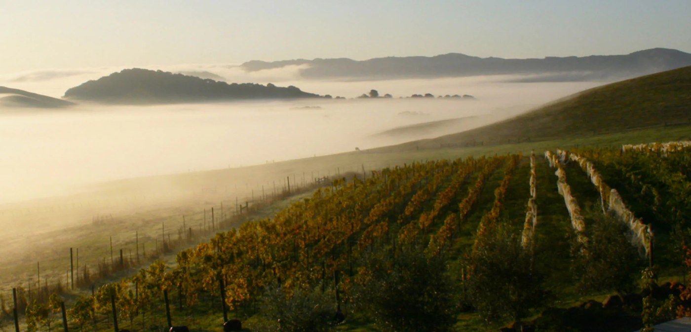 Concert at Sonocaia Estate Winery