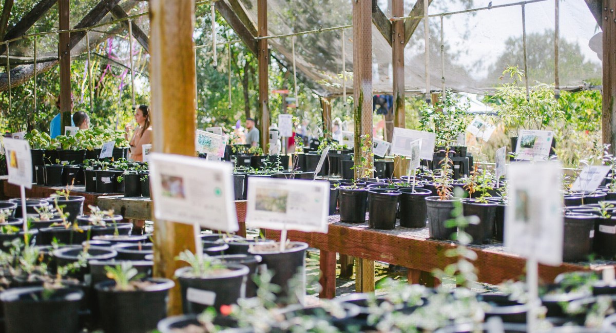 Native Plant Nursery Sale at Sonoma Garden Park