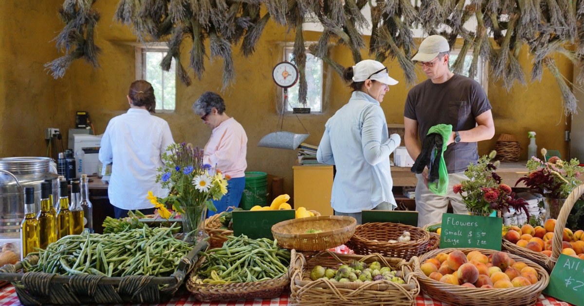 Saturday Harvest Market at Sonoma Garden Park