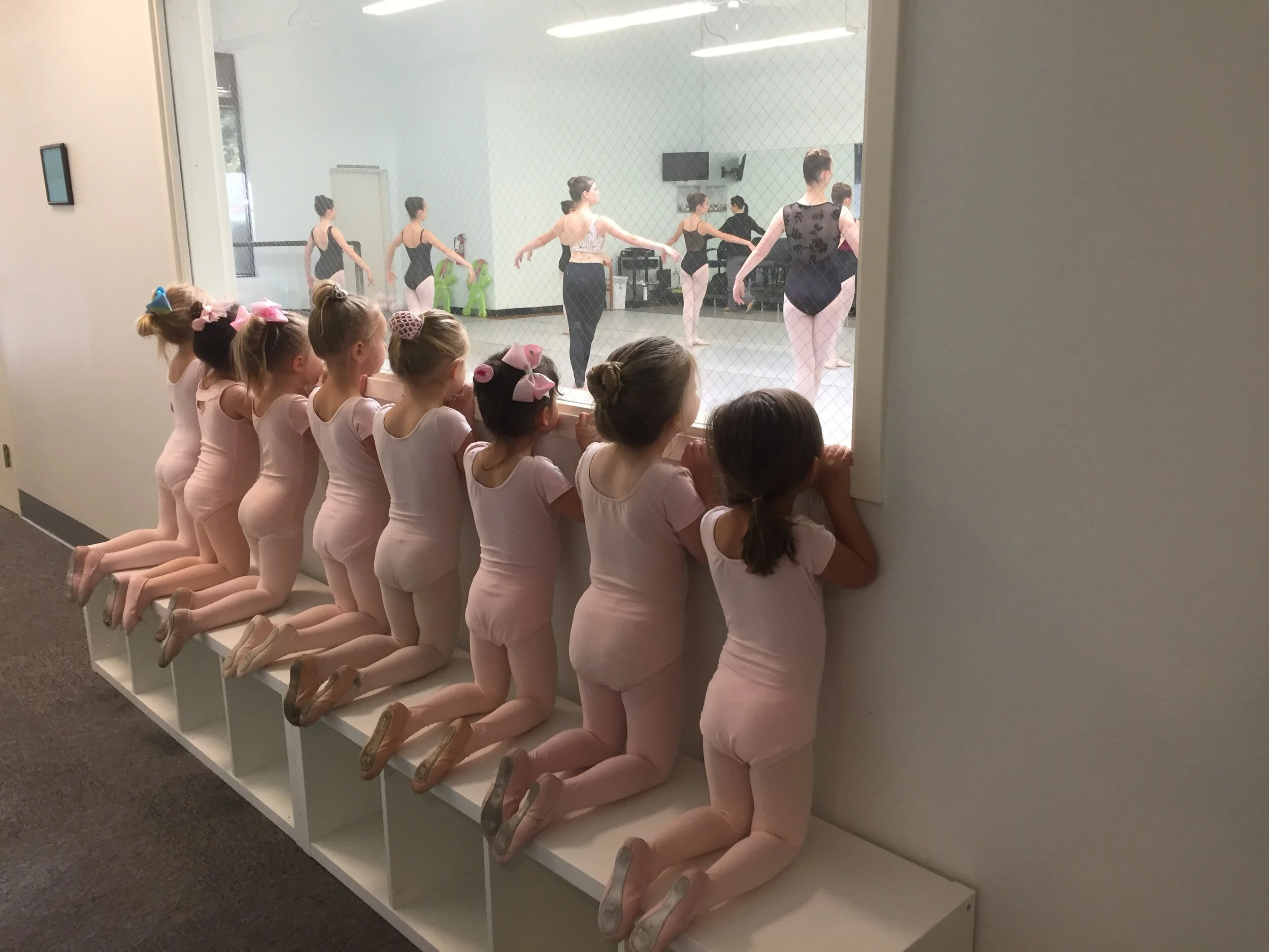 Sonoma School of Ballet Summer Dance