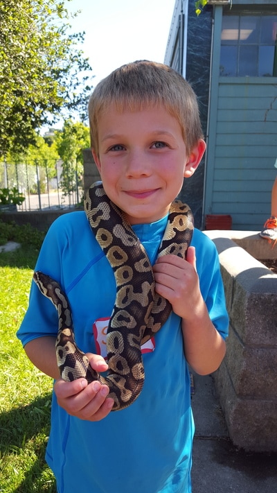 Sonoma Wildlife Museum Summer Camp